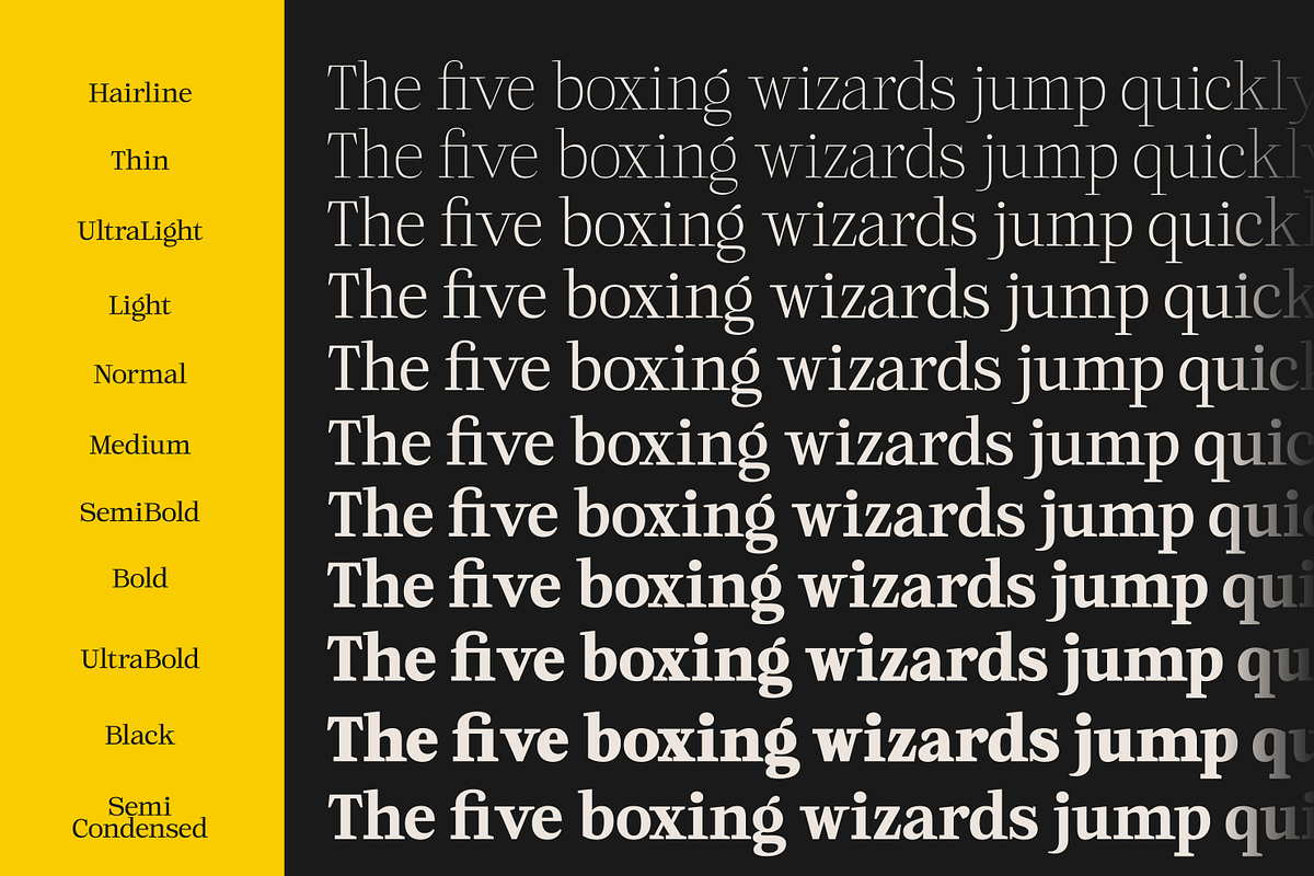 Dribble, a Serif Font by zeenesia (Photo 17 of 19)