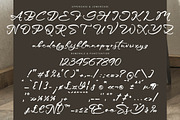 Lindgre, a Script Font by Integritype Studio (Thumbnail 15 of 15)