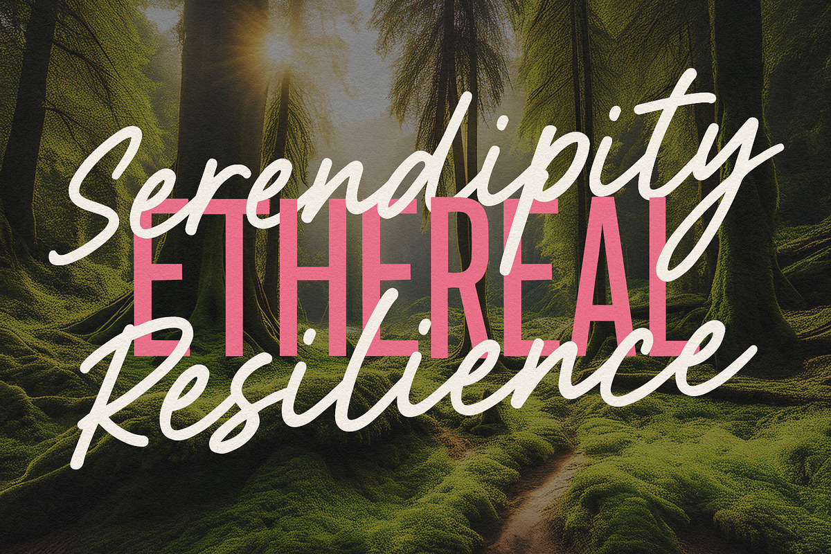 Fallyen Font Duo Signature Sans, a Script Font by Maulana Creative (Photo 5 of 7)