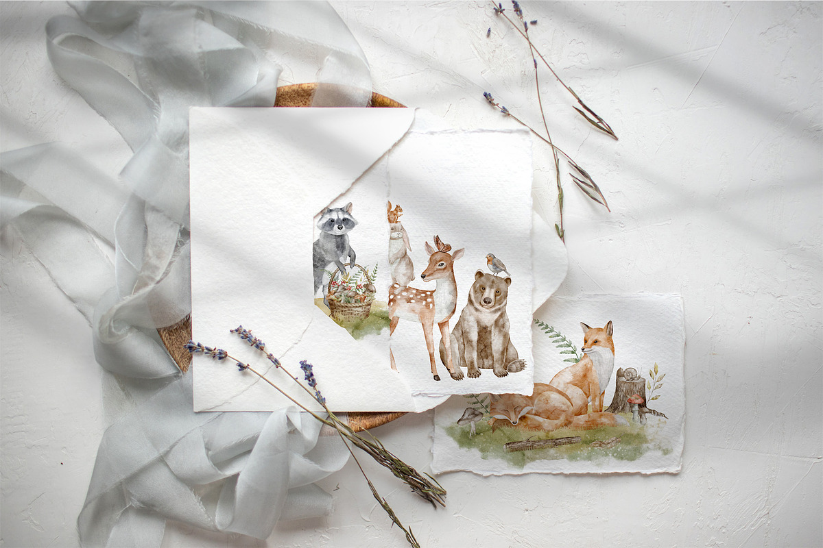 Woodland Animals Watercolor Clipart, an Illustration by Alisles (Photo 9 of 18)