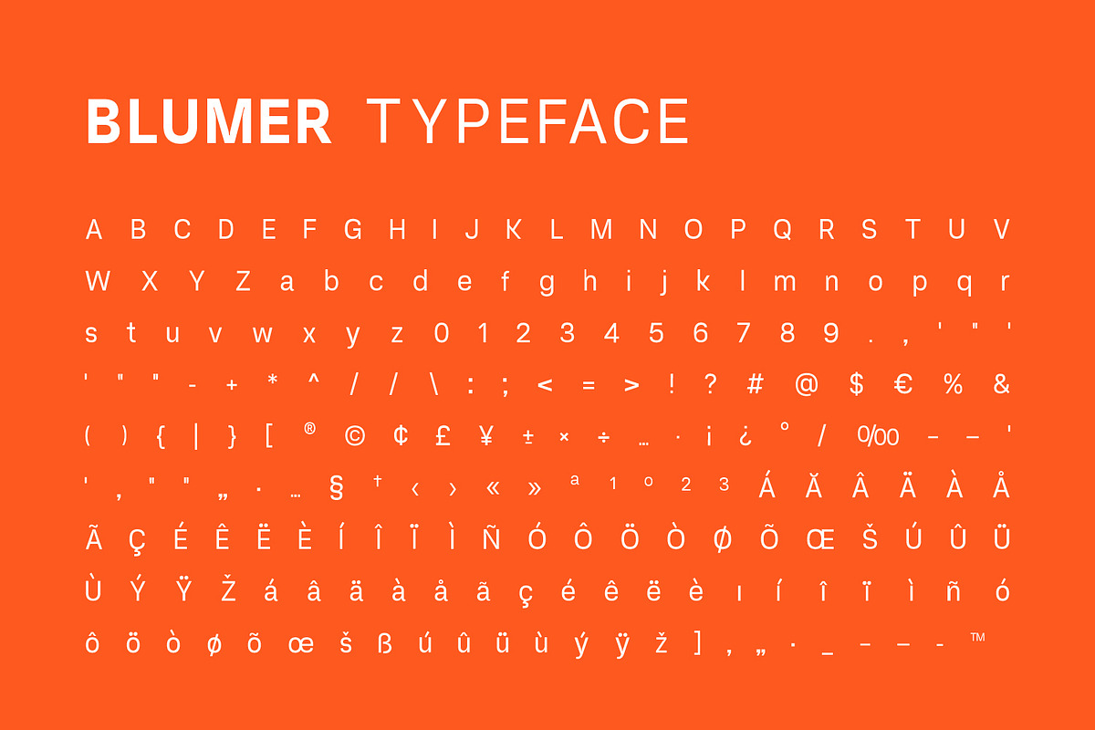 Blumer Modern Branding Sans Serif, a Sans Serif Font by Foxtype (Photo 9 of 9)