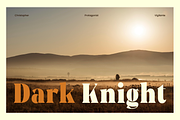 Rigam Complete Family, a Serif Font by Fitrah Type (Thumbnail 13 of 15)