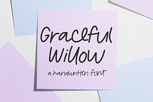 Graceful Willow Script