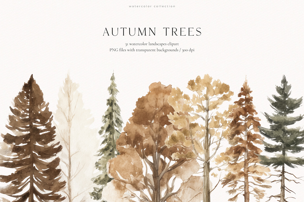 An Autumn Forest Chapter Collection, an Animal Illustration by PeDe Designs (Photo 20 of 29)