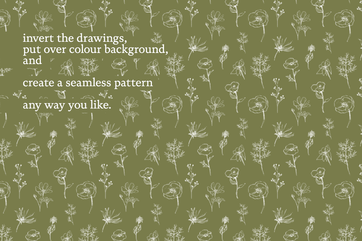 Sketchy Pencil Drawing Wildflowers, an Illustration by elpple (Photo 6 of 7)