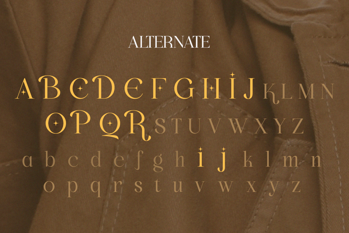Bigalfia - An Elegant Modern Serif, a Serif Font by Qweera Studio (Photo 11 of 11)