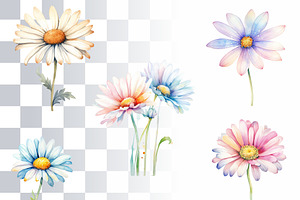 Daisy Flowers Watercolor Clipart Set