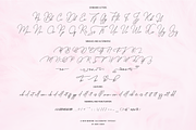 Zallety Signature, a Script Font by danti (Thumbnail 9 of 11)