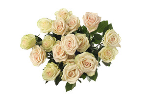 Flower roses bouquet background., a Background Photo by Liliia Rudchenko
