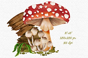 Mushroom Forest watercolor clipart, a Decorative Illustration by AkiraVilla (Thumbnail 5 of 11)