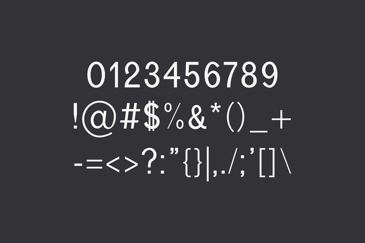 Varina Sans Serif Font Family preview 4