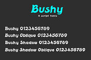 Bushy font family, a Script Font by vlad.berla (Thumbnail 3 of 12)