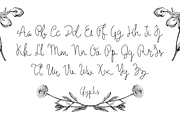 Holga Script, a Script Font by Noe Araujo (Thumbnail 2 of 4)