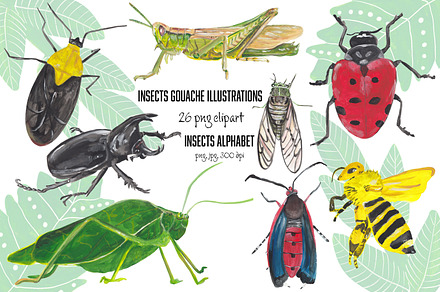 Insects Alphabet & clipart