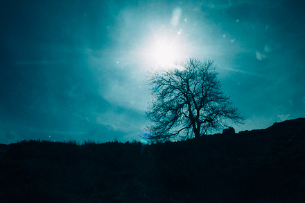 Tiny Landscape preview 5