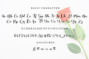 Briliana Script, a Script Font by Bosstype Studio (Thumbnail 8 of 10)
