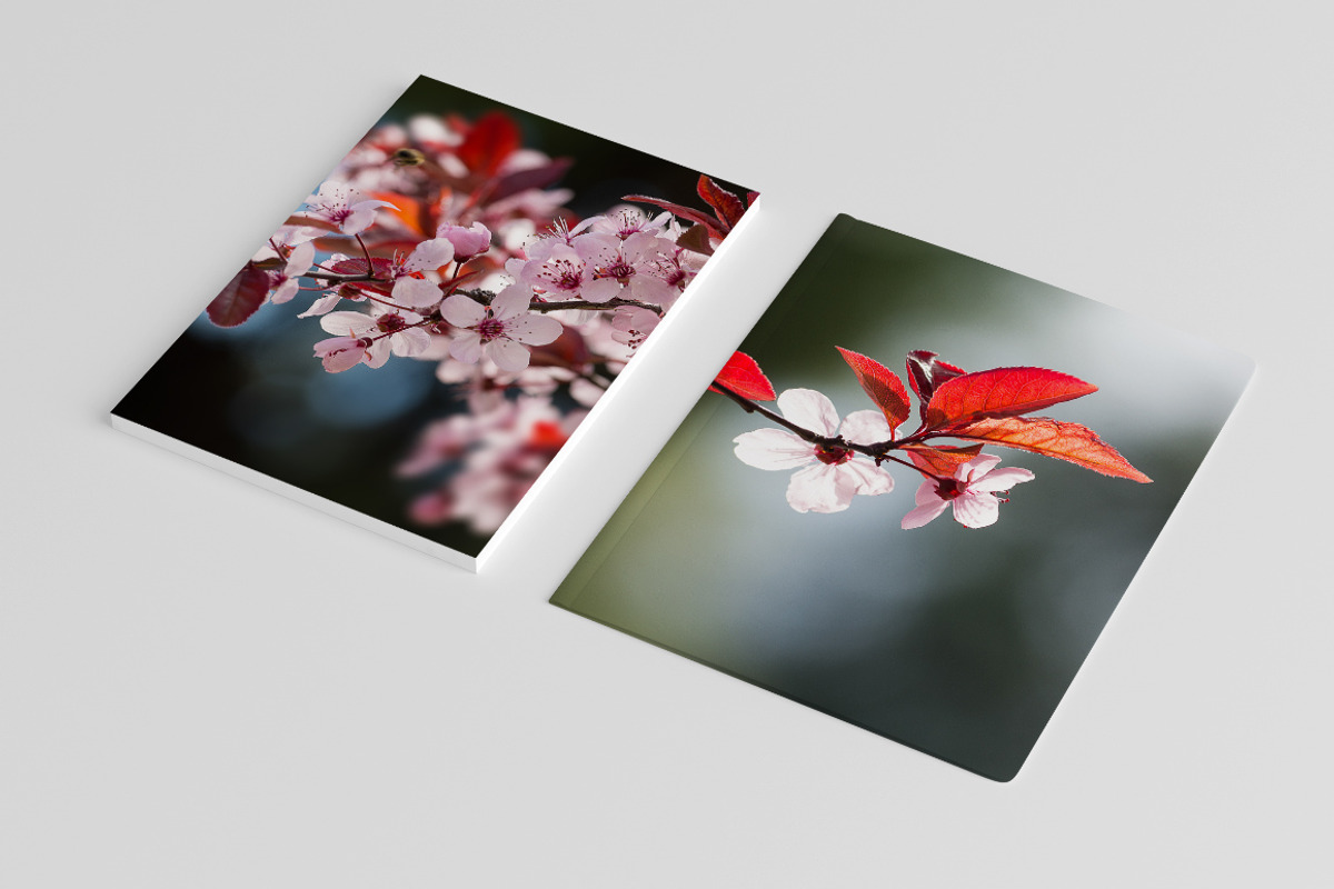 Pink Spring Flowers, a Texture Graphic by QueenDesigns (Photo 2 of 6)