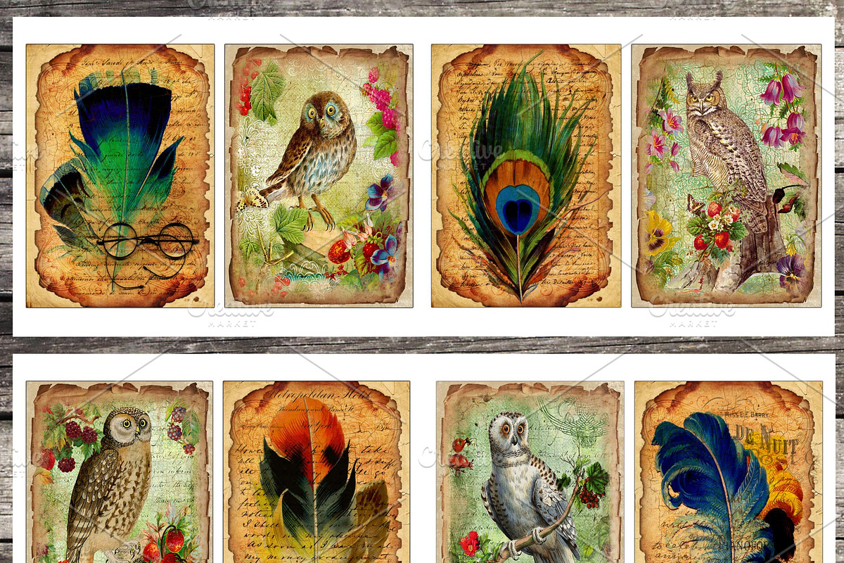 Vintage paper, feathers & owls cards, an Object Graphic by DidiArtWorld (Photo 1 of 3)
