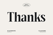 Mailyo Modern Serif Display Font, a Serif Font by timelesstype.co (Thumbnail 20 of 20)