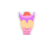 Biology & Anatomy goodnotes stickers, an Education Illustration by Noorist (Thumbnail 30 of 32)