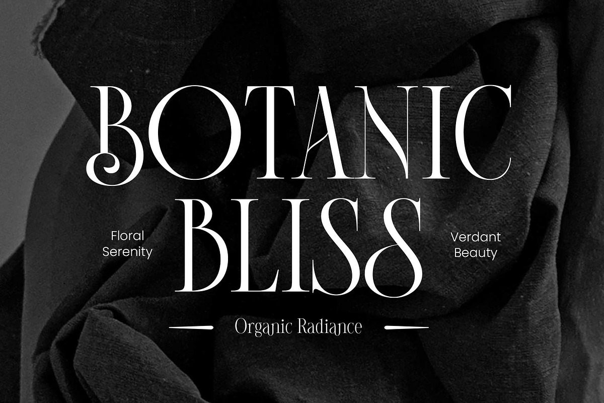 Imperial Grace - Modern Classic, a Serif Font by Novitype (Photo 5 of 12)