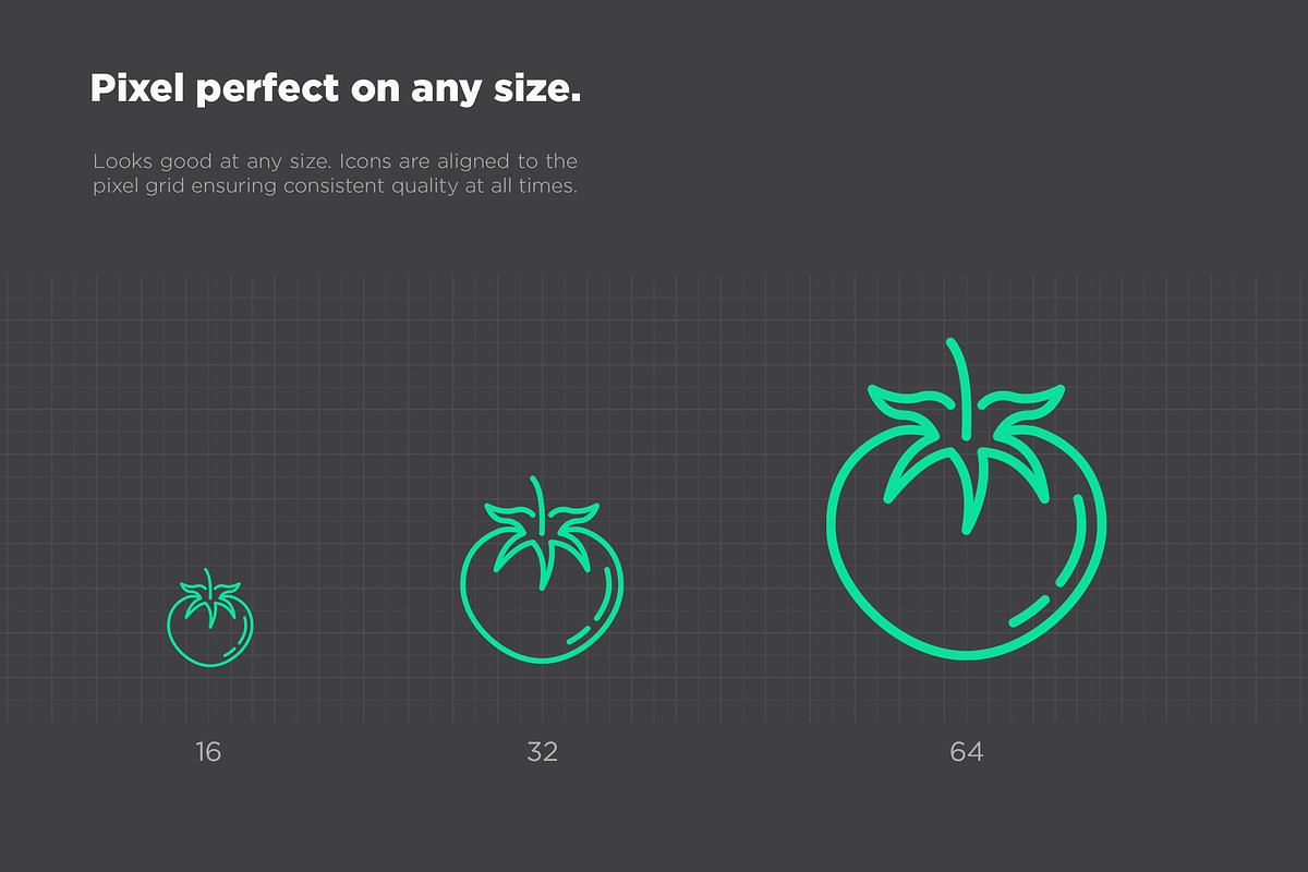 Organic | 25 Thin Line Icons, an Outline Icon by Alex Blogoodf (Photo 4 of 15)