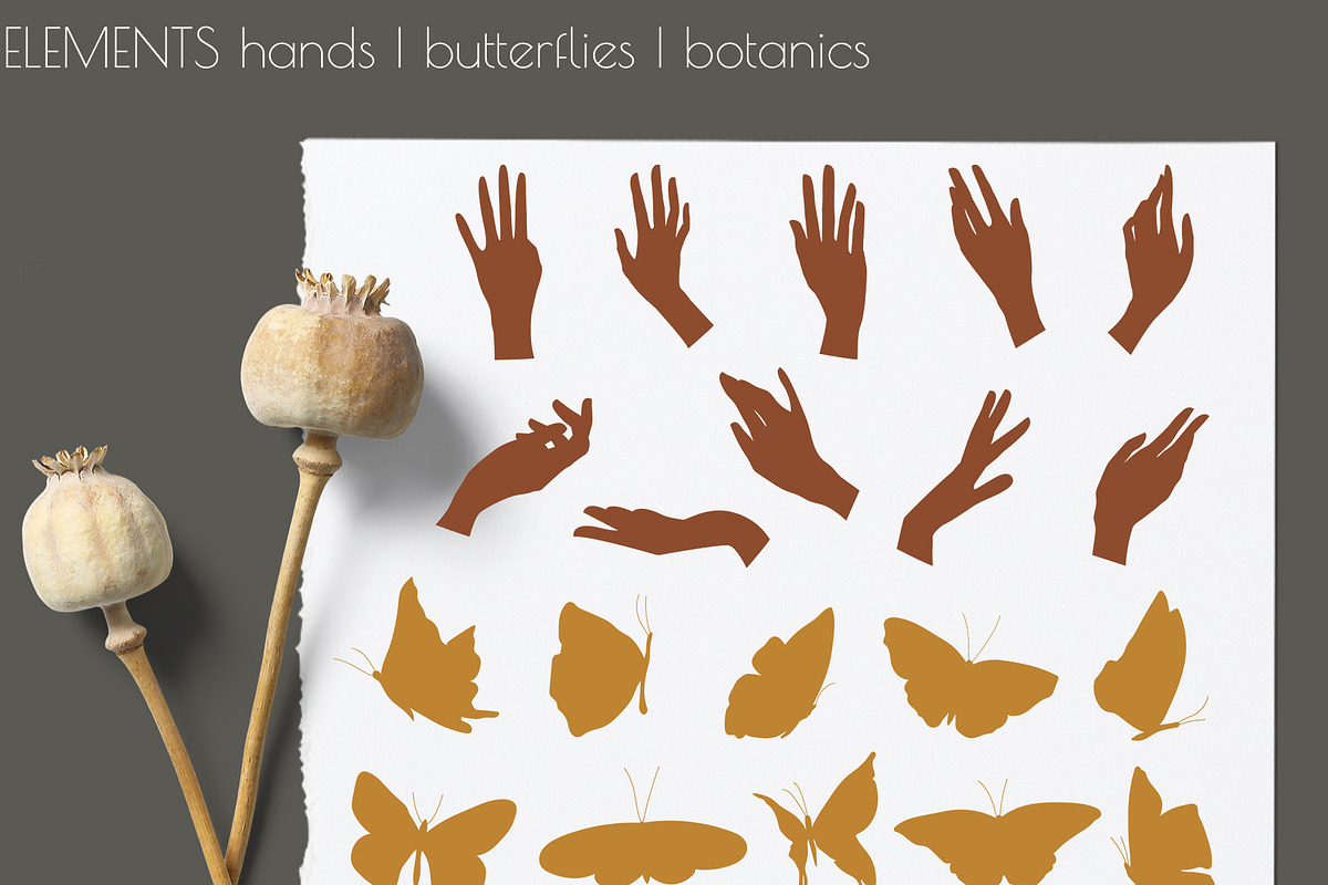 NATURE VIBES FLORAL COLLECTION, an Object Graphic by Andreen (Photo 8 of 17)