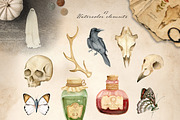 Dark vintage. Watercolor autumn set, an Object Graphic by JuliaBadeeva (Thumbnail 8 of 12)