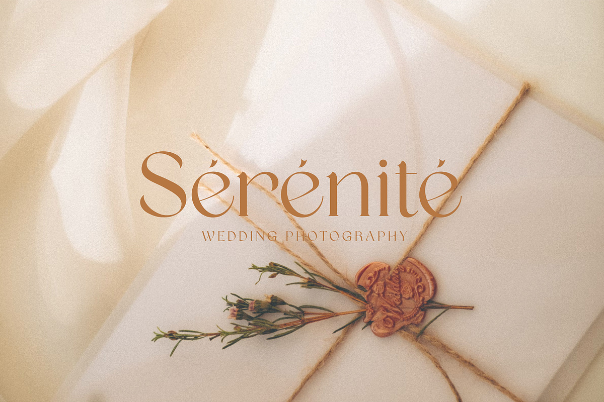 Quinek Elegant Serif, a Serif Font by Brandear Design (Photo 11 of 16)