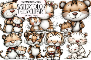 Watercolor Tiger Clipart, an Illustration by Daily.Designs