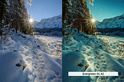 20 Winter Forest Lightroom Presets, a Preset Add-On by Hubzway (Thumbnail 8 of 13)