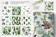 Cacti & Succulents, a Decorative Illustration by Anna Myslivets Art (Thumbnail 4 of 9)