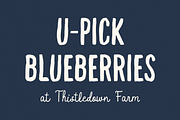 Wild Blue, a Script Font by Bruised Goods (Thumbnail 5 of 12)