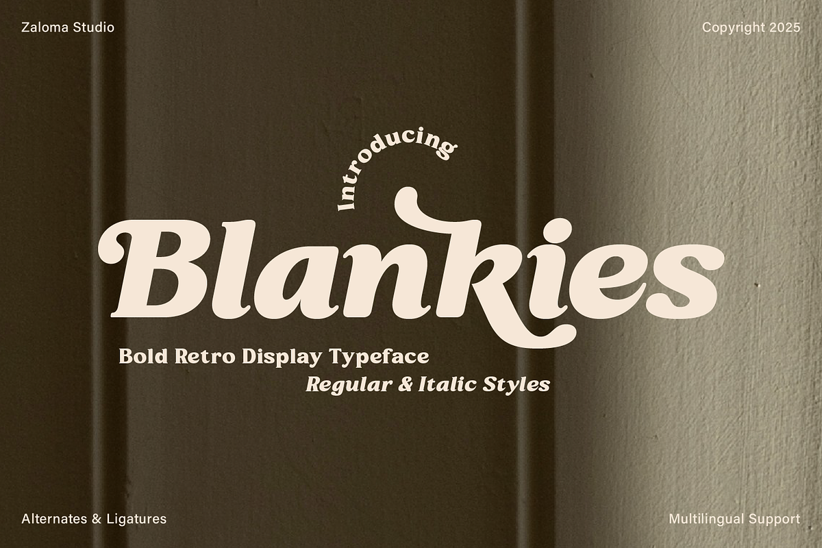 Blankies, a Serif Font by Zaloma Studio (Photo 1 of 15)