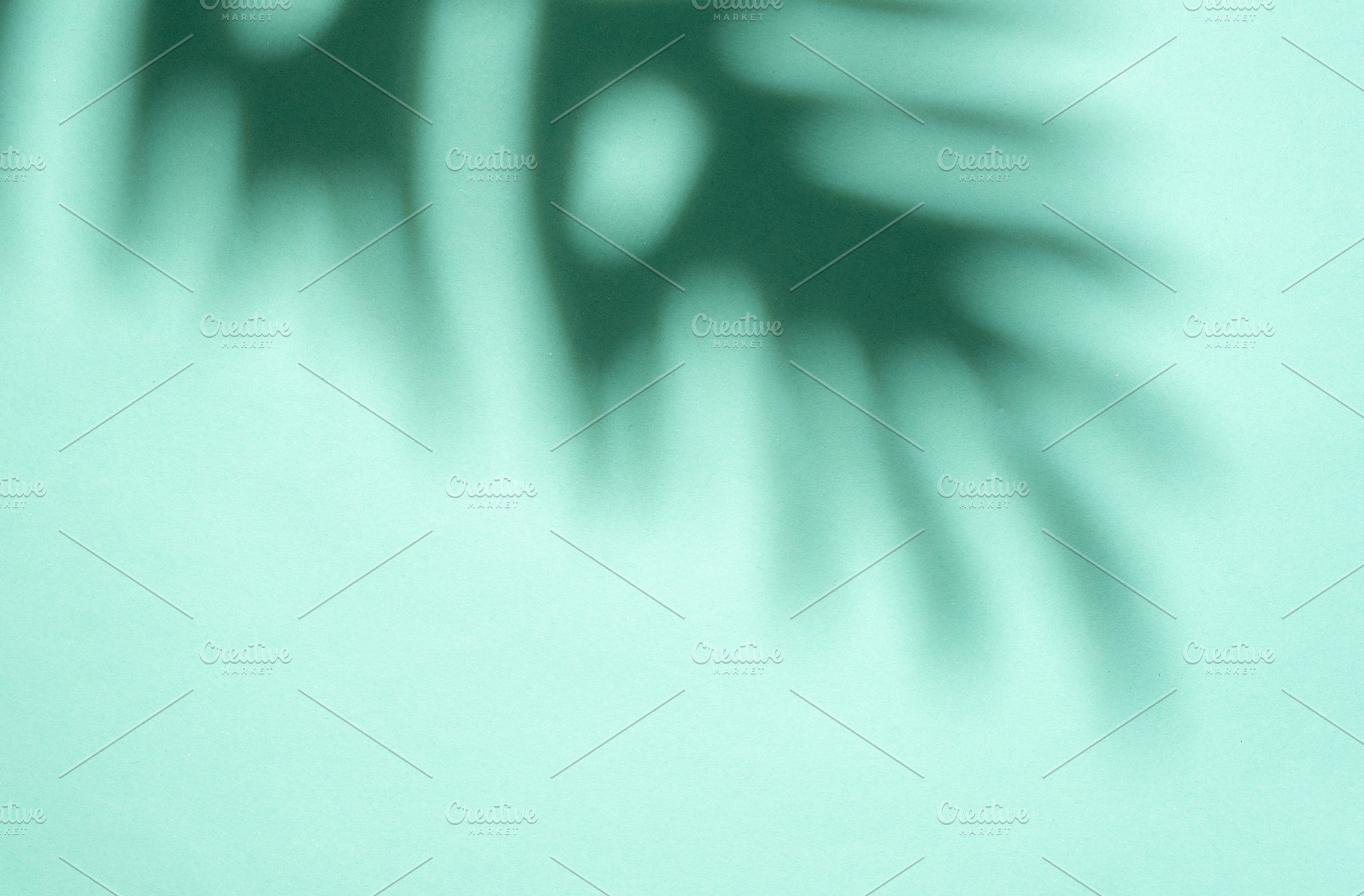 Shadows from palm leaves, a Nature Photo by Olena Rudo