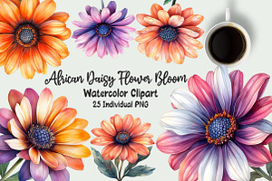 African Daisy Flower Bloom Clipart, an Illustration by OK Design