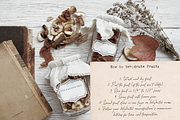 Typewriter and Script font pack, a Font by Ana's Fonts (Thumbnail 3 of 19)