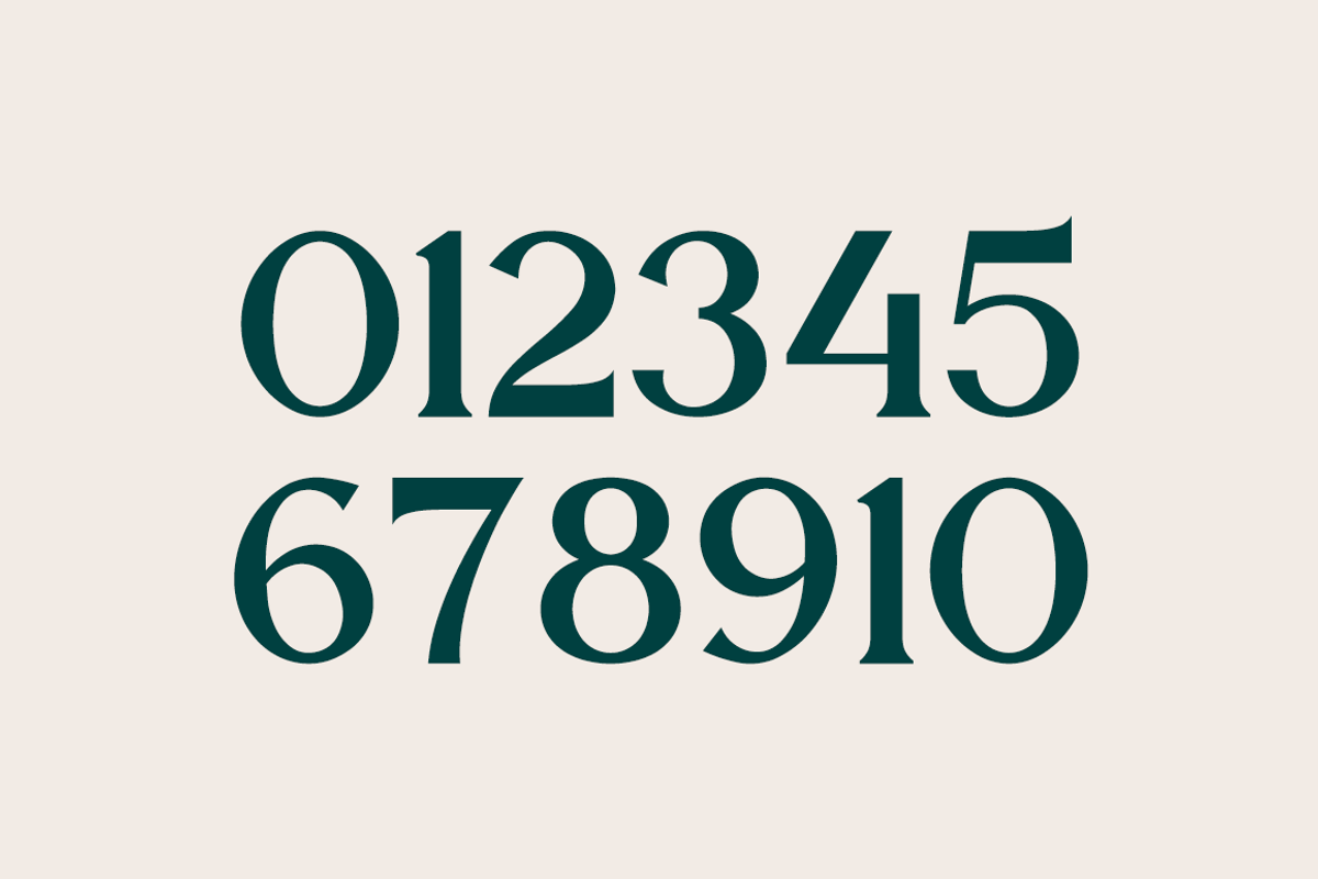 Miracle Display, a Serif Font by RockboyStd (Photo 9 of 12)