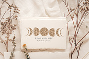 Kids Leopard Bunny collection, an Animal Illustration by Tiana Geo (Thumbnail 8 of 14)