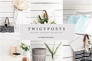 Neutral Summer Stock Photos, a Social Media Template by JanaBishopCollection (Thumbnail 2 of 11)