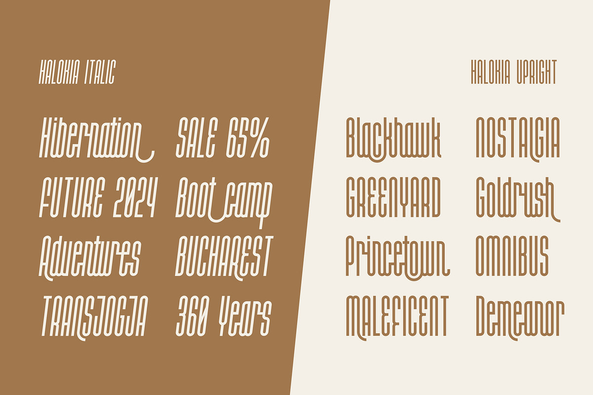 Halokia, a Script Font by Locomotype (Photo 10 of 11)
