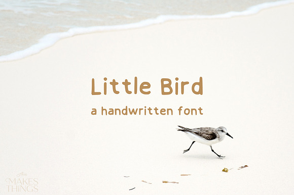 Little Bird a Handwritten Font preview 6