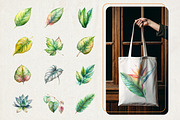 60 Watercolor Leaves Illustrations, a Decorative Illustration by Riswan Ratta (Thumbnail 4 of 5)