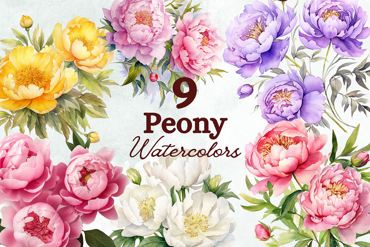 Peony Watercolor Clipart Set, a Decorative Illustration by Loony Dream Designs (Photo 1 of 4)
