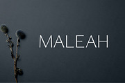 Maleah Sans Serif Fonts Family Pack, a Sans Serif Font by Creativetacos (Thumbnail 1 of 6)