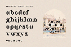 Angon - Retro Serif Font