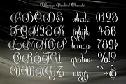 Velmaryc - Modern Calligraphy, a Script Font by TypeClassHeroes (Thumbnail 3 of 11)