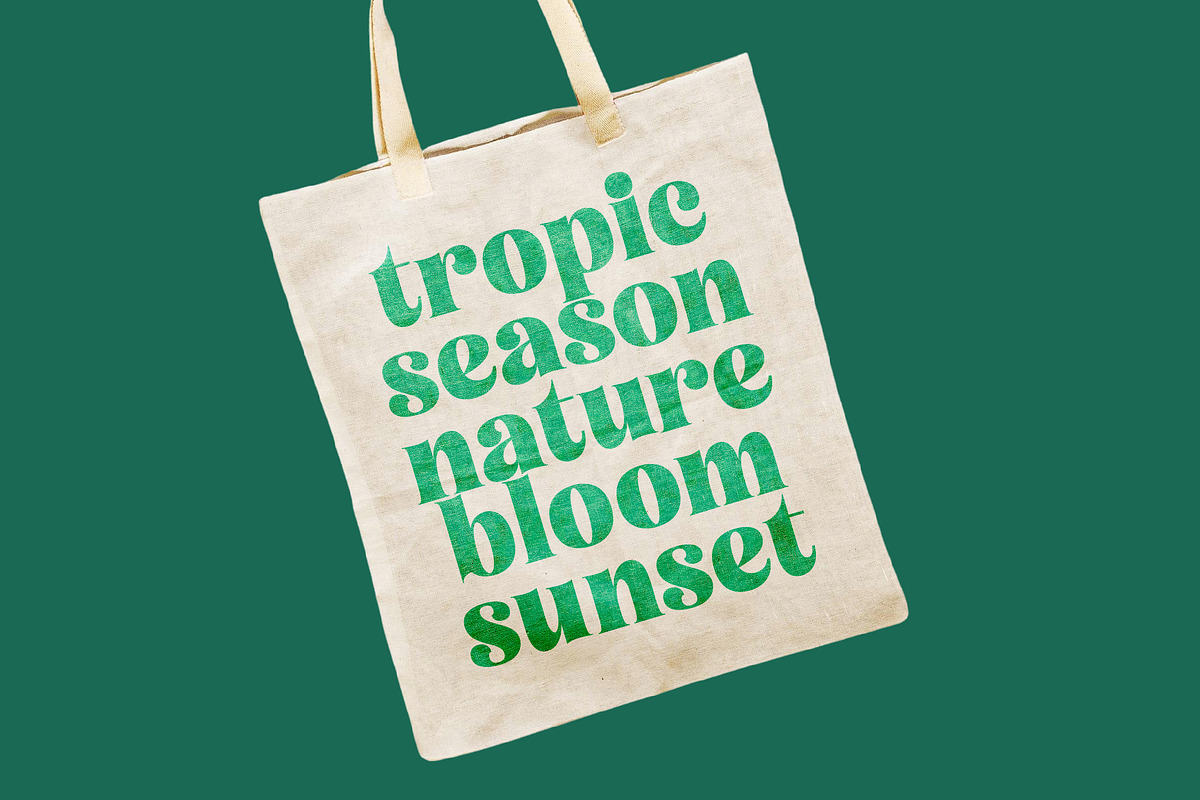 Tropic Fresh Bold Vintage Serif, a Serif Font by timelesstype.co (Photo 11 of 20)