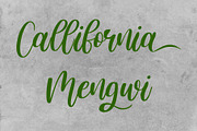 Cithronia Brush Font, a Script Font by Anomali Creatype (Thumbnail 7 of 10)