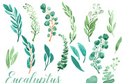 Watercolor Leaves Clipart Eucalyptus, an Illustration by Essem Creatives (Thumbnail 2 of 3)